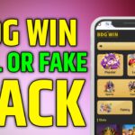 Bdgwin Earning App | Bdgwin Real Or Fake | Bdgwin Hack Kaise Karen | Bdgwin Kaise Khele | Best Earning App